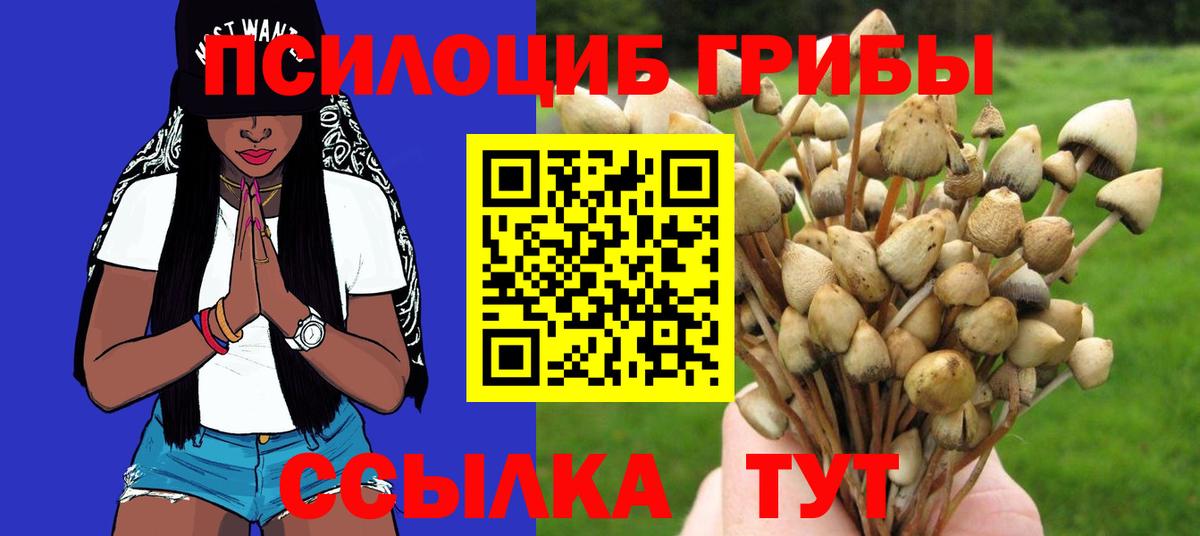 Псилоцибиновые грибы Cubensis  Галлюциногенные грибы GOLDEN TEACHER  Вход с VPN  купить закладку  Волжск 